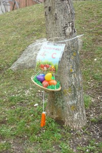 TSV Natternberg, Orientierungslauf, Oster Orientierungslauf