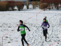 2015_02_08_Ndb_Crosslaufm_Arnstorf_1