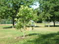 2015_08_26_Amankindergarten_2